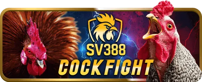 Hỗ trợ khách hàng 24/7 Alo88 Code